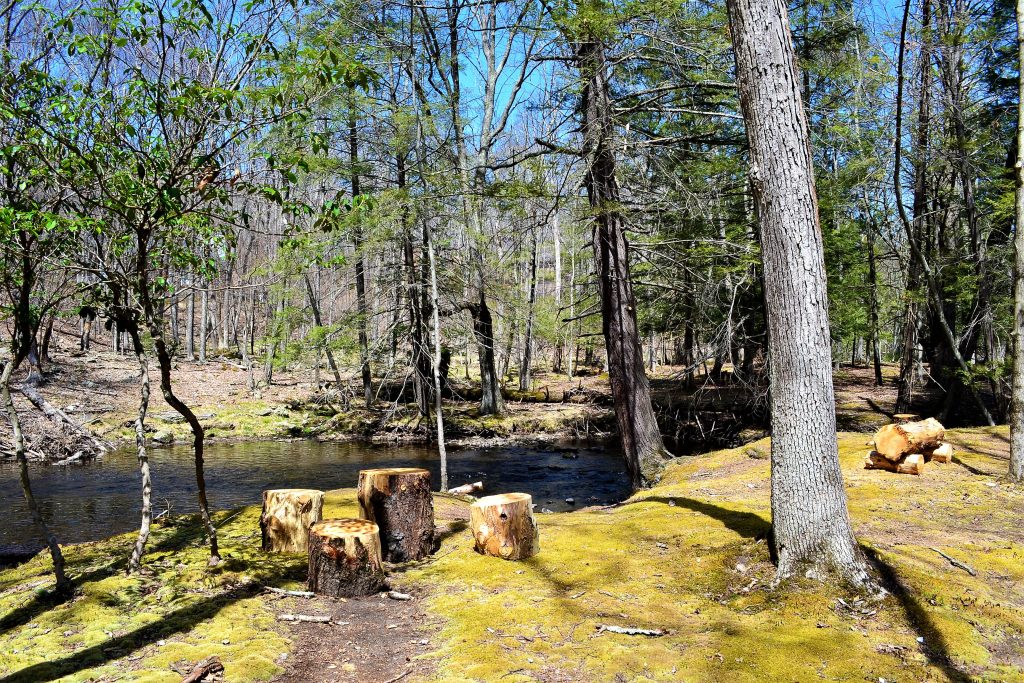 Private creekside backyard